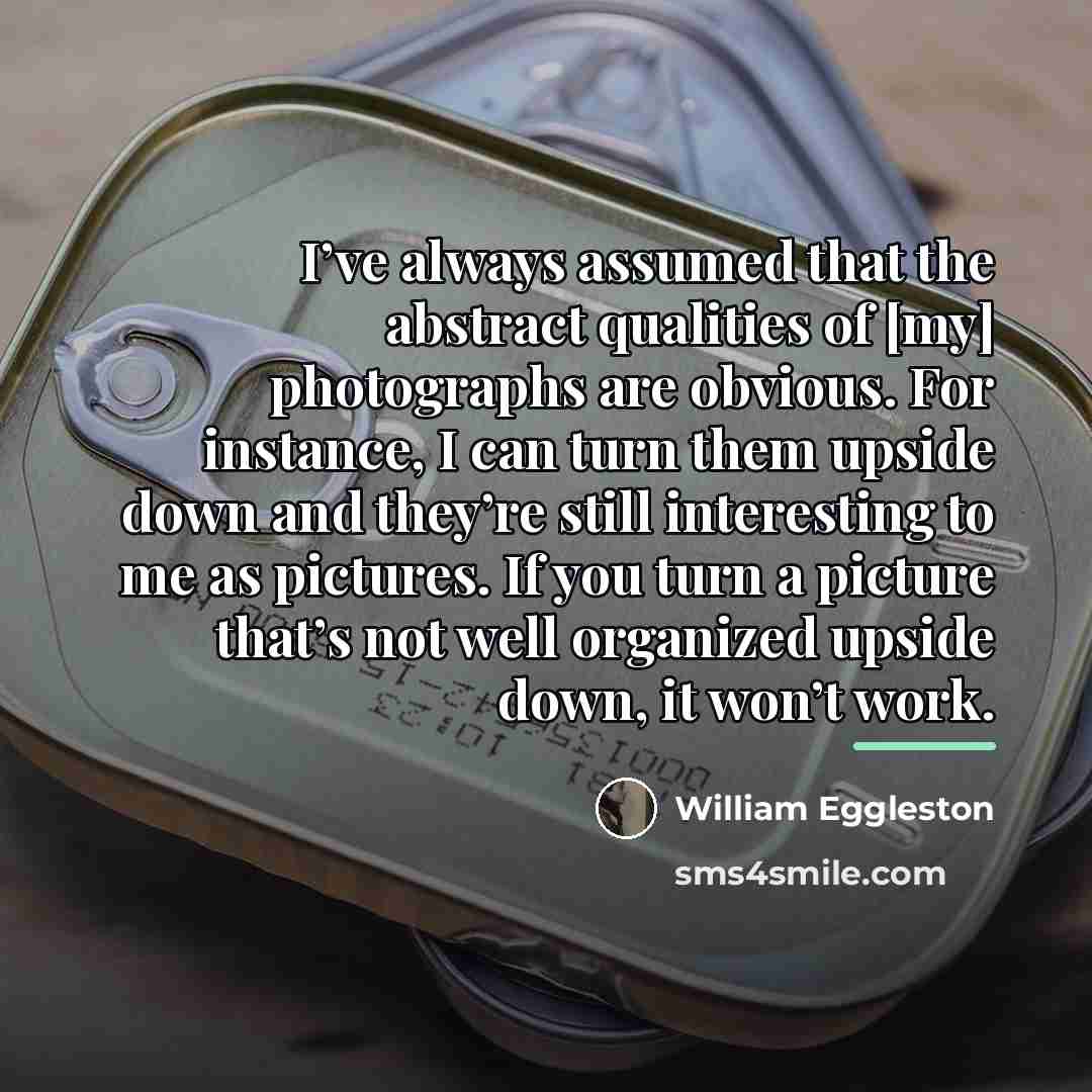 “I’ve always assumed that the abstract qualities of [my] photographs…” quote by William Eggleston