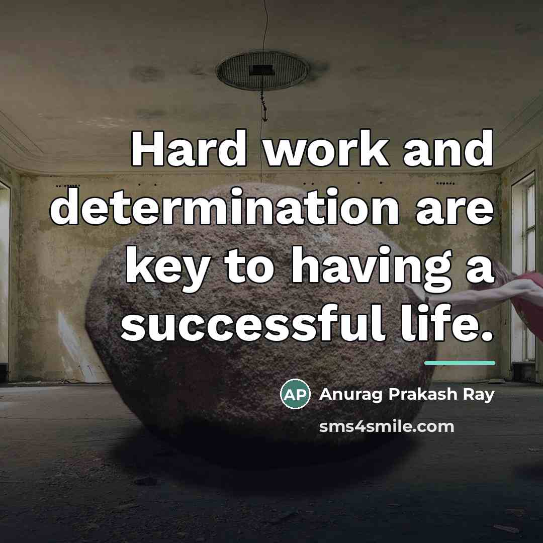 “Hard work and determination are key to having a successful…” quote by Anurag Prakash Ray