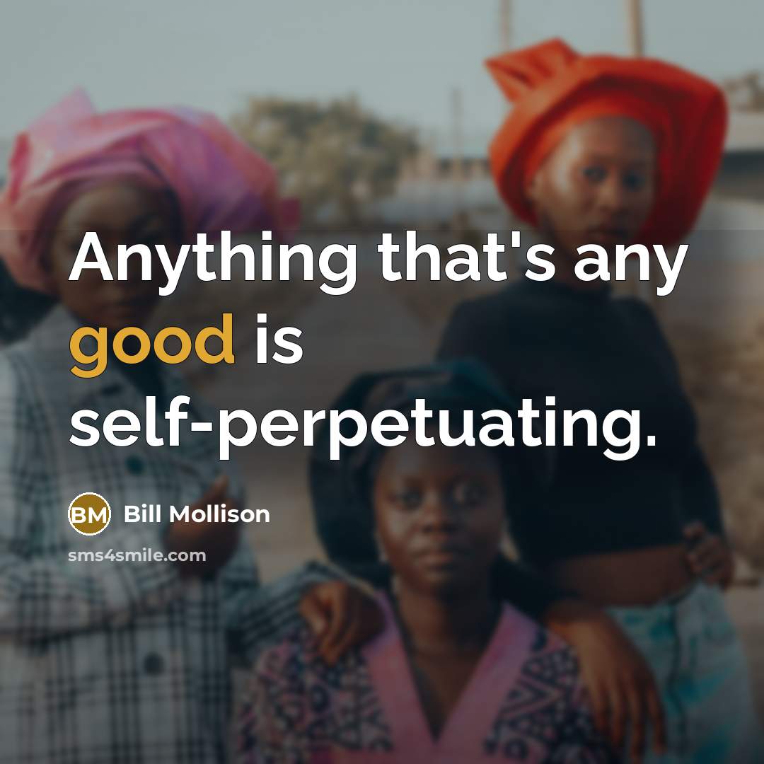 “Anything that's any good is self-perpetuating.…” quote by Bill Mollison