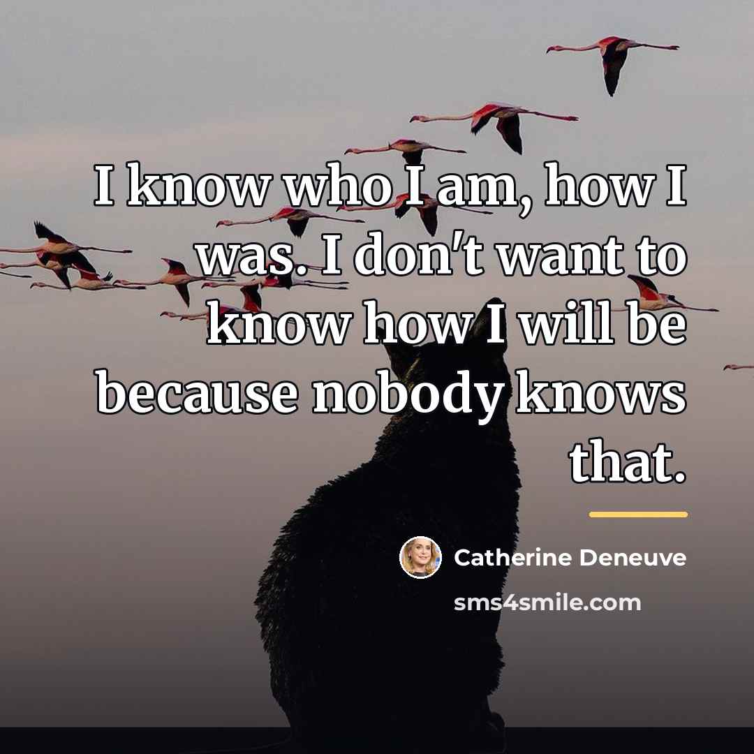“I know who I am, how I was. I don't…” quote by Catherine Deneuve