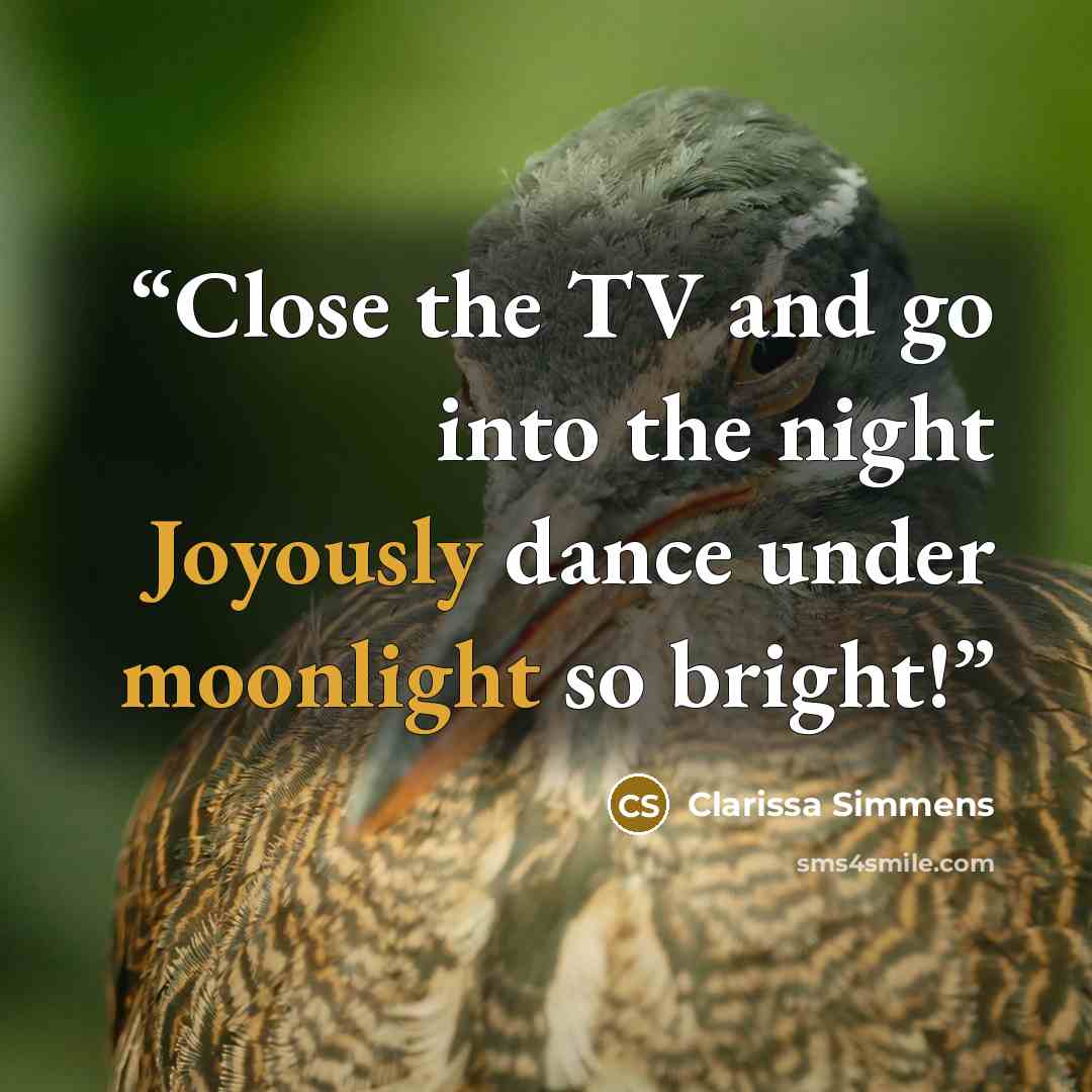 “Close the TV and go into the night Joyously dance under moonlight so bright!” quote by Clarissa Simmens
