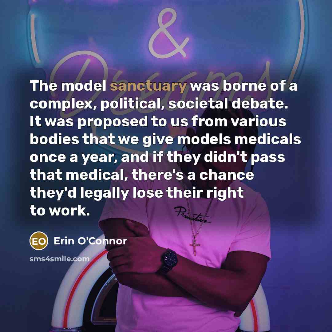 “The model sanctuary was borne of a complex, political, societal…” quote by Erin O'Connor