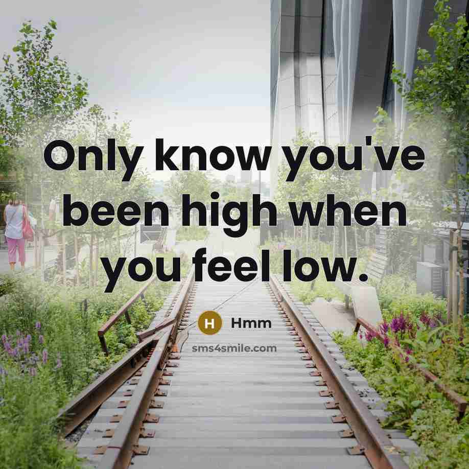 “Only know you've been high when you feel low.” quote by Hmm