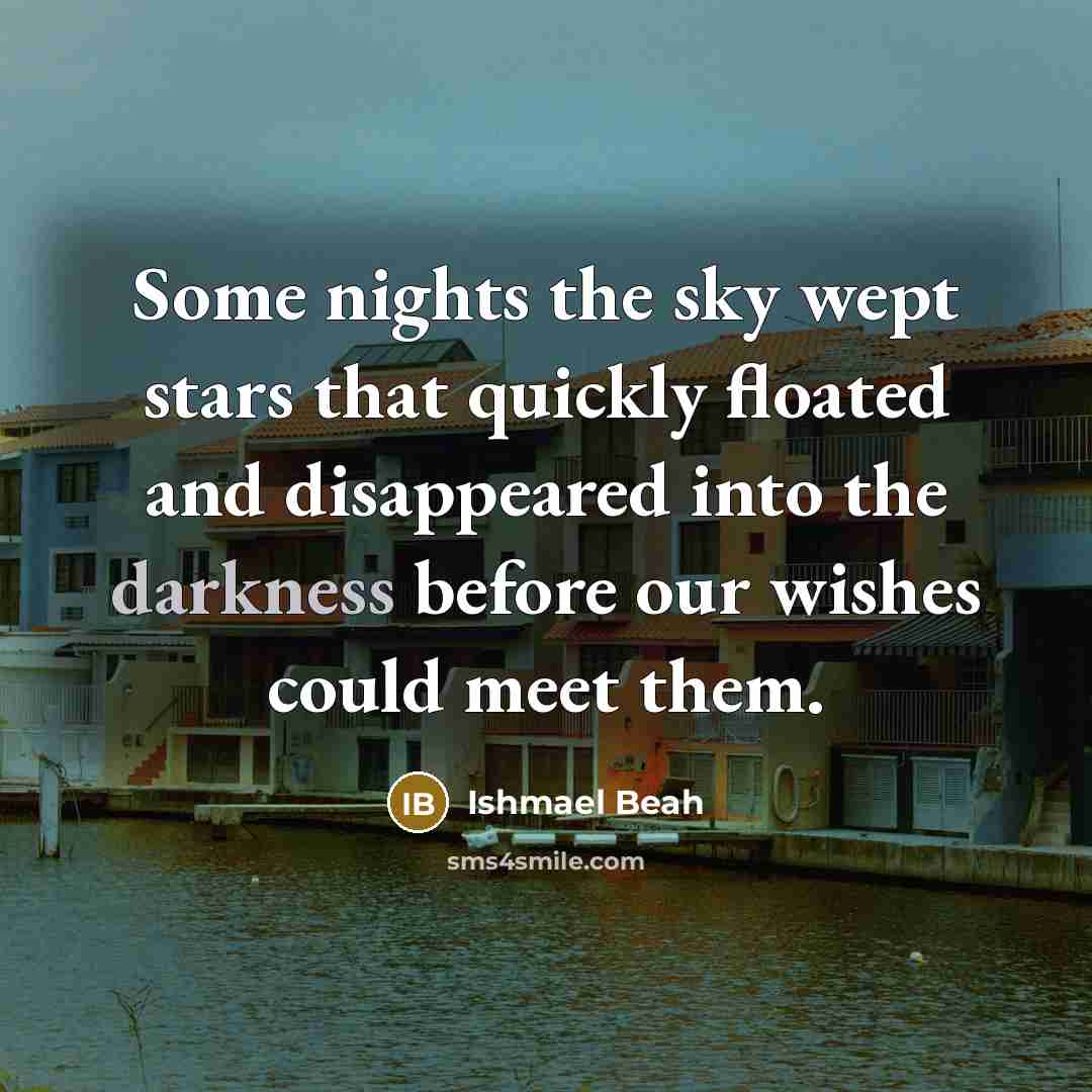 “Some nights the sky wept stars that quickly floated and…” quote by Ishmael Beah
