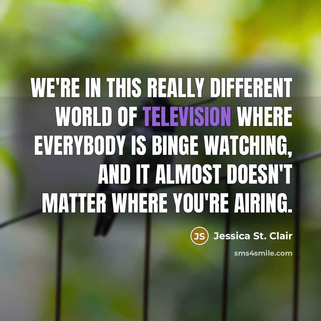 “We're in this really different world of television where everybody is binge watching, and it almost doesn't matter where you're airing.” quote by Jessica St. Clair