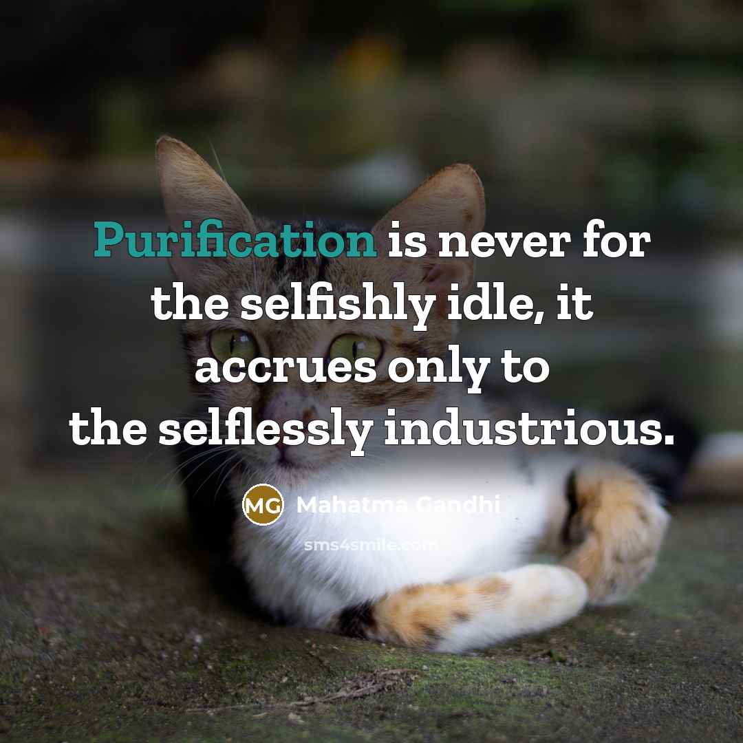 “Purification is never for the selfishly idle, it accrues only…” quote by Mahatma Gandhi