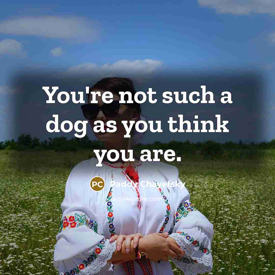 “You're not such a dog as you think you are.…” quote by Paddy Chayefsky