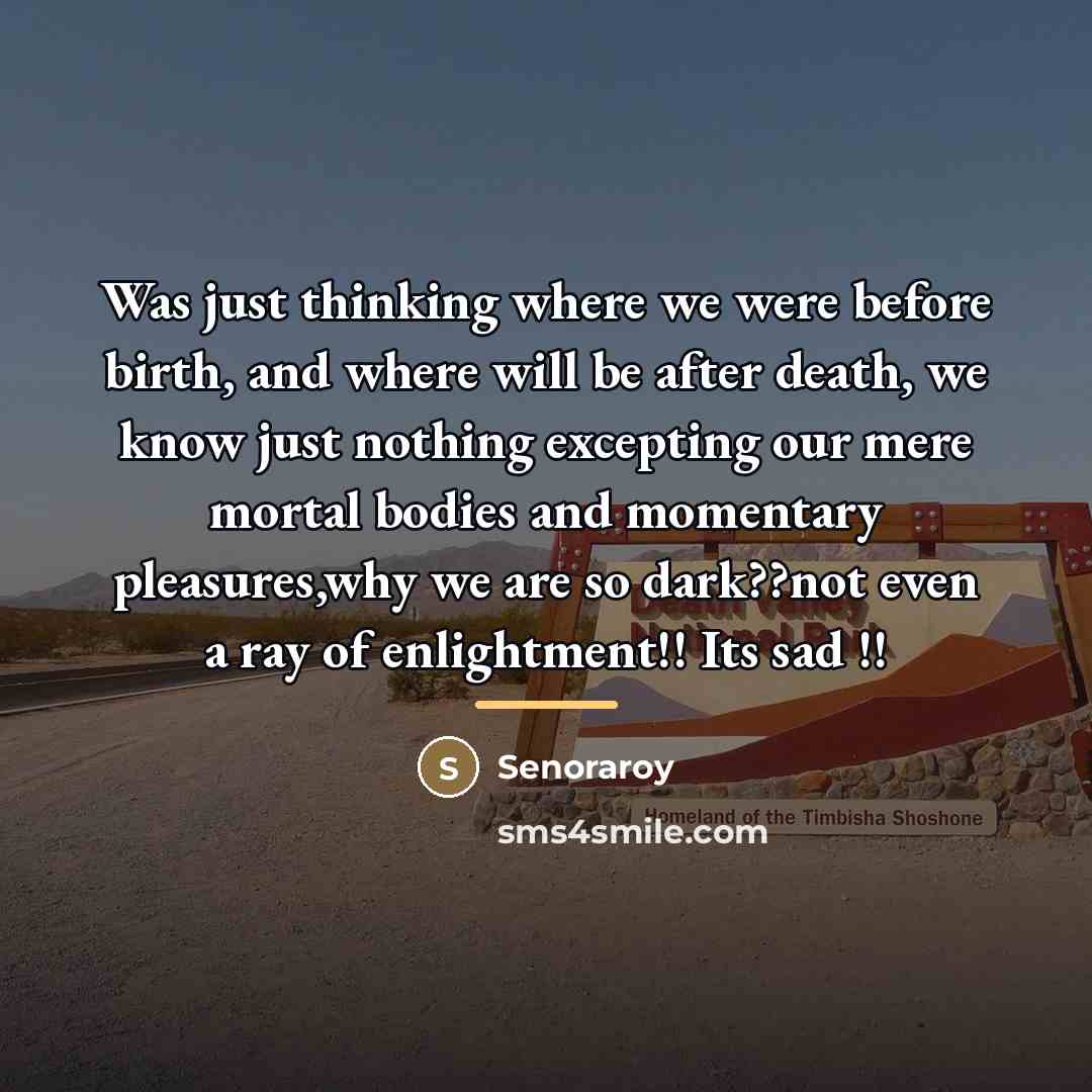 “Was just thinking where we were before birth, and where…” quote by Senoraroy