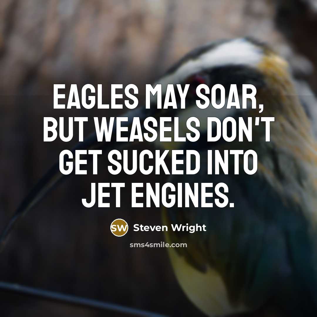 “Eagles may soar, but weasels don't get sucked into jet engines.” quote by Steven Wright