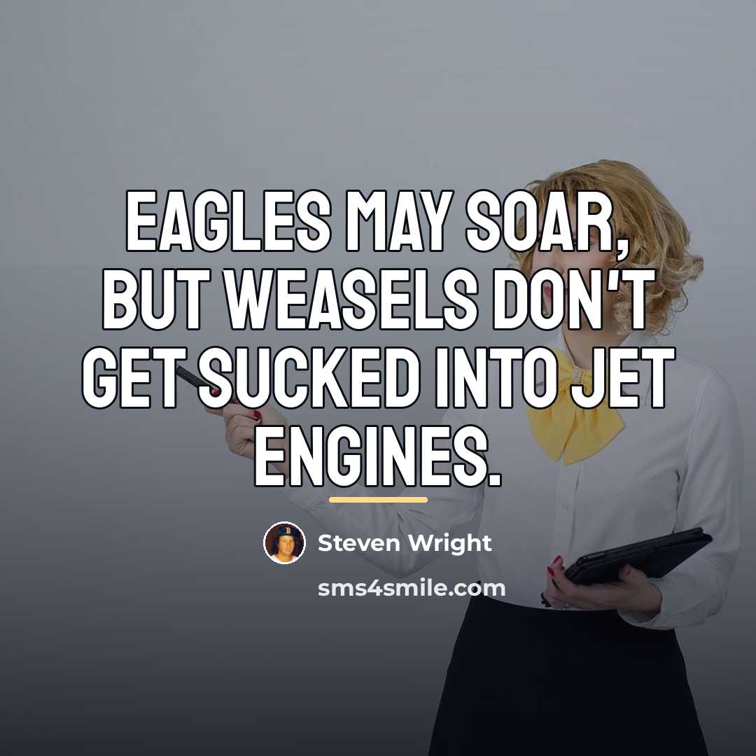 “Eagles may soar, but weasels don't get sucked into jet…” quote by Steven Wright