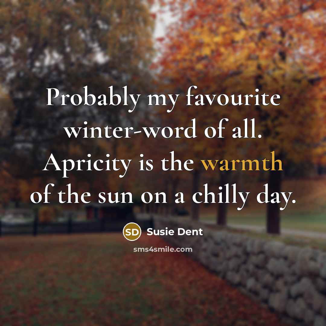 “Probably my favourite winter-word of all. Apricity is the warmth…” quote by Susie Dent