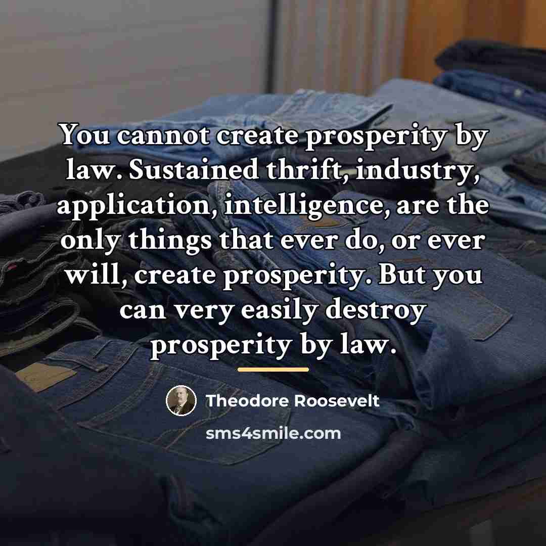 “You cannot create prosperity by law. Sustained thrift, industry, application,…” quote by Theodore Roosevelt
