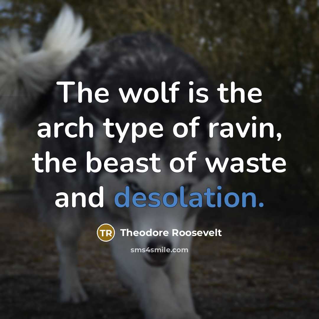 “The wolf is the arch type of ravin, the beast…” quote by Theodore Roosevelt