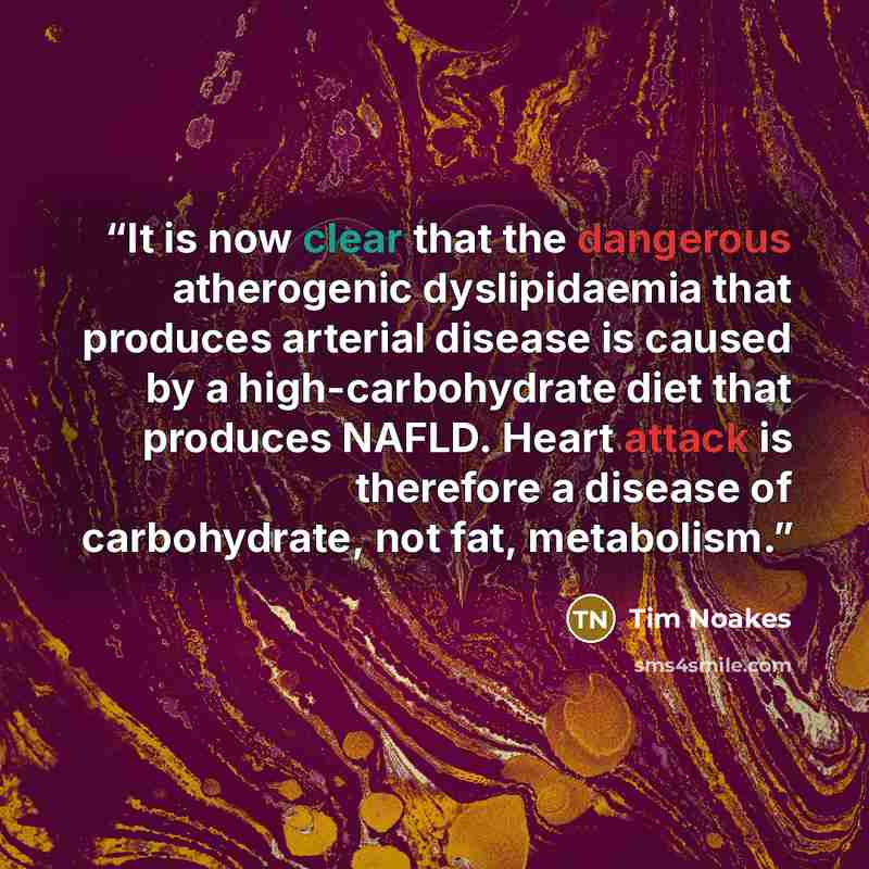 “It is now clear that the dangerous atherogenic dyslipidaemia that produces arterial disease is caused by a high-carbohydrate diet that produces NAFLD. Heart attack is therefore a disease of carbohydrate, not fat, metabolism.” quote by Tim Noakes