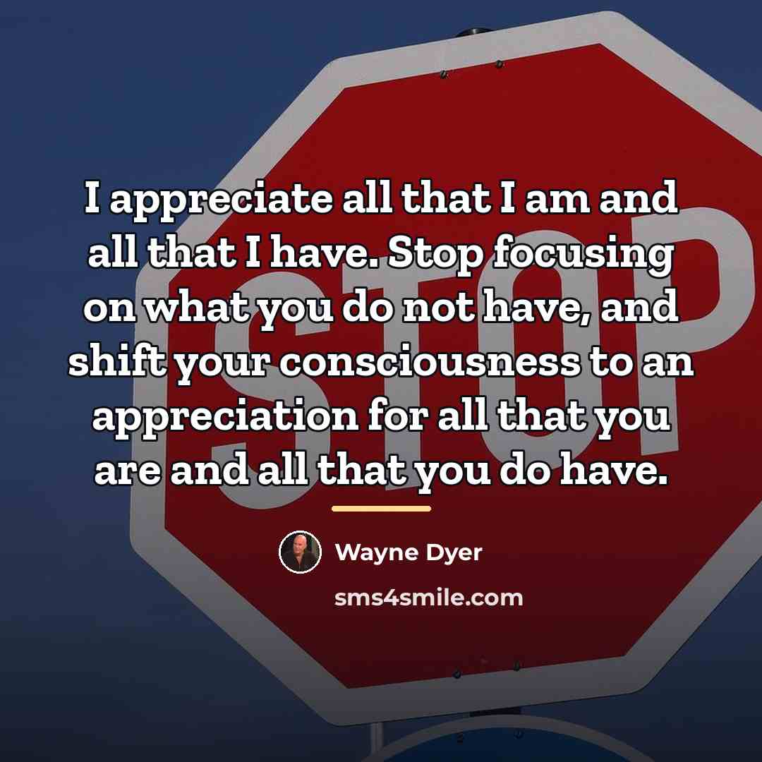 “I appreciate all that I am and all that I…” quote by Wayne Dyer