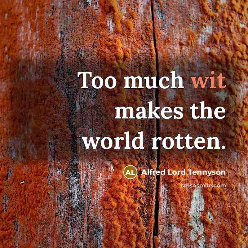 “Too much wit makes the world rotten.…” quote by Alfred Lord Tennyson