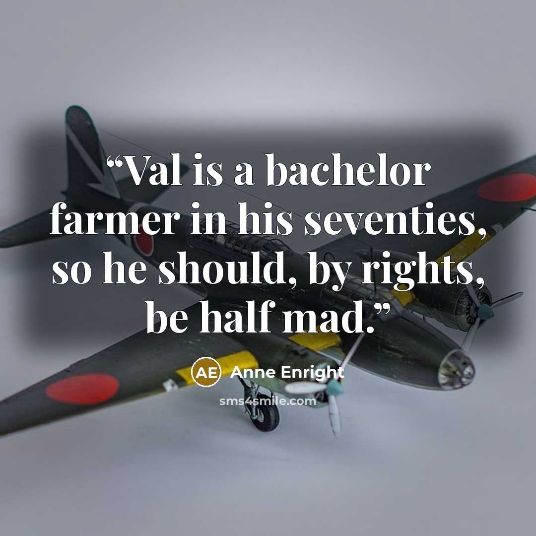 “Val is a bachelor farmer in his seventies, so he should, by rights, be half mad.” quote by Anne Enright