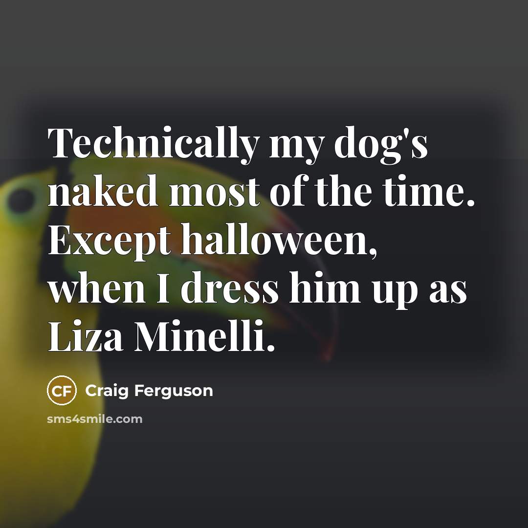 “Technically my dog's naked most of the time. Except halloween, when I dress him up as Liza Minelli.” quote by Craig Ferguson
