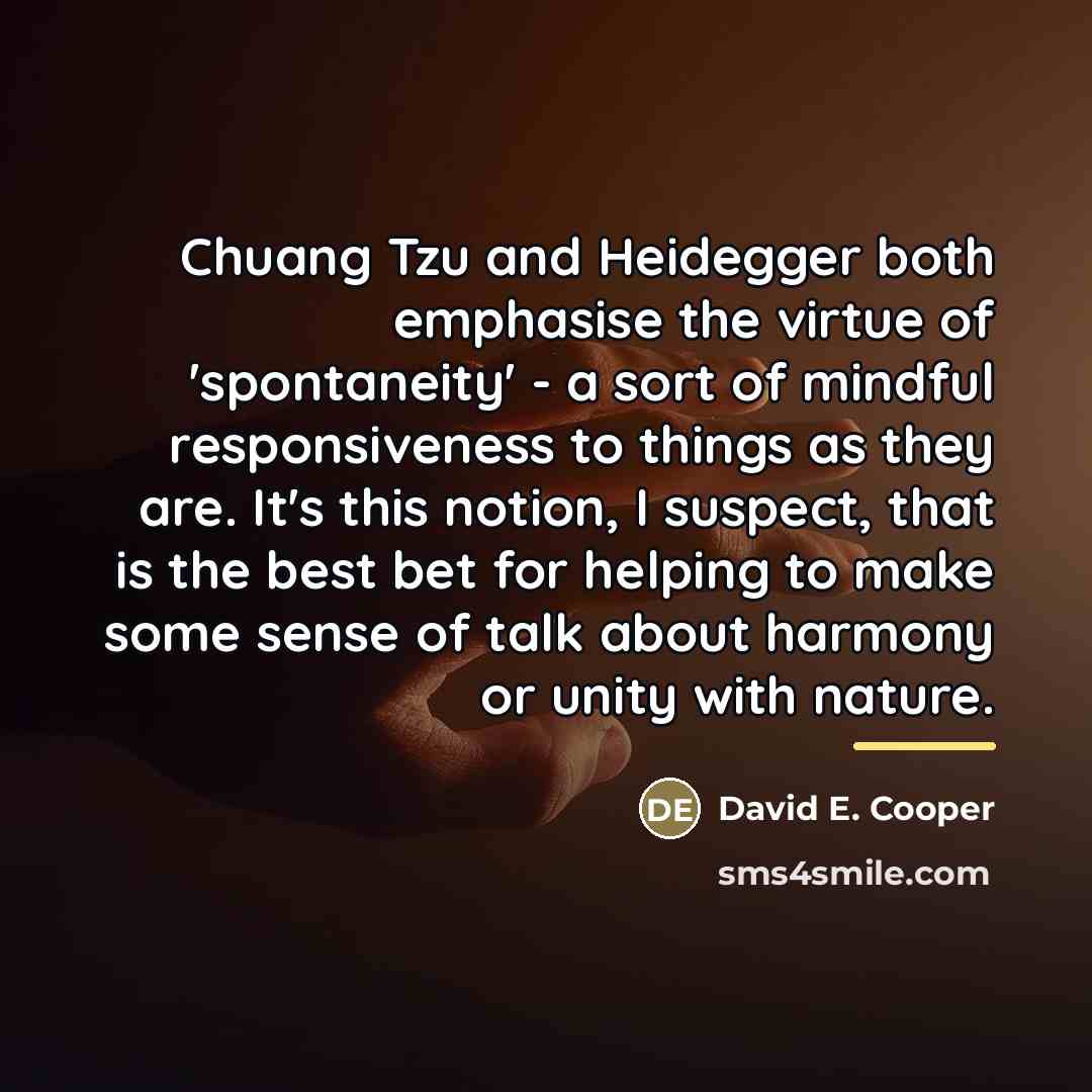 “Chuang Tzu and Heidegger both emphasise the virtue of 'spontaneity'…” quote by David E. Cooper