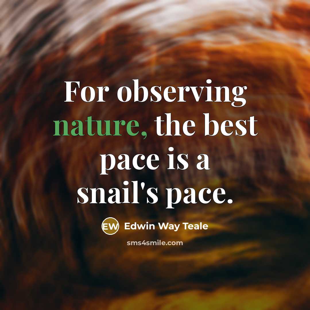 “For observing nature, the best pace is a snail's pace.…” quote by Edwin Way Teale