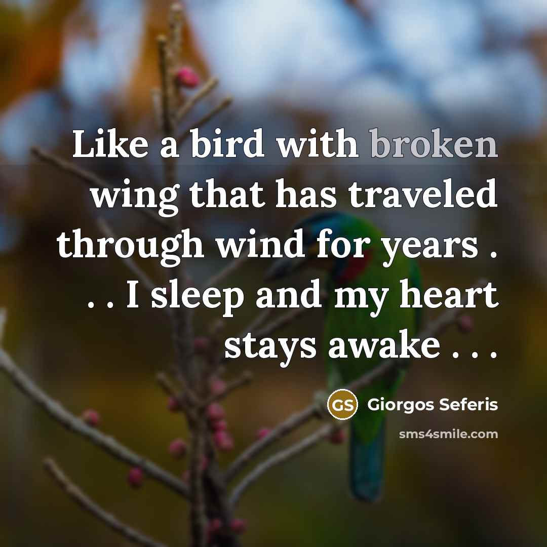 “Like a bird with broken wing that has traveled through…” quote by Giorgos Seferis