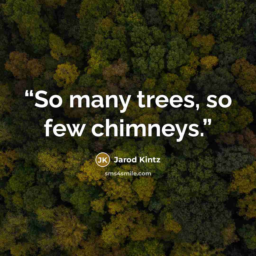 “So many trees, so few chimneys.” quote by Jarod Kintz