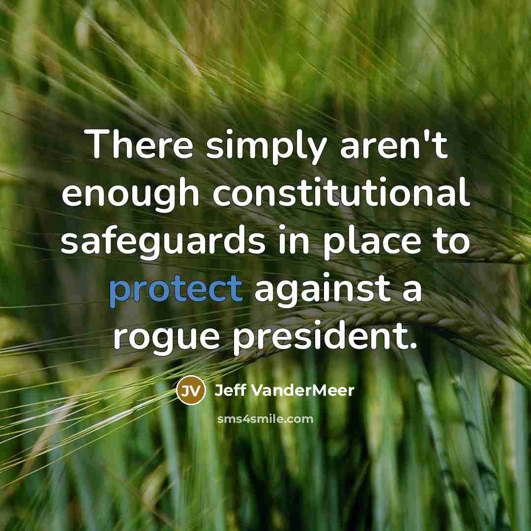 “There simply aren't enough constitutional safeguards in place to protect…” quote by Jeff Vandermeer