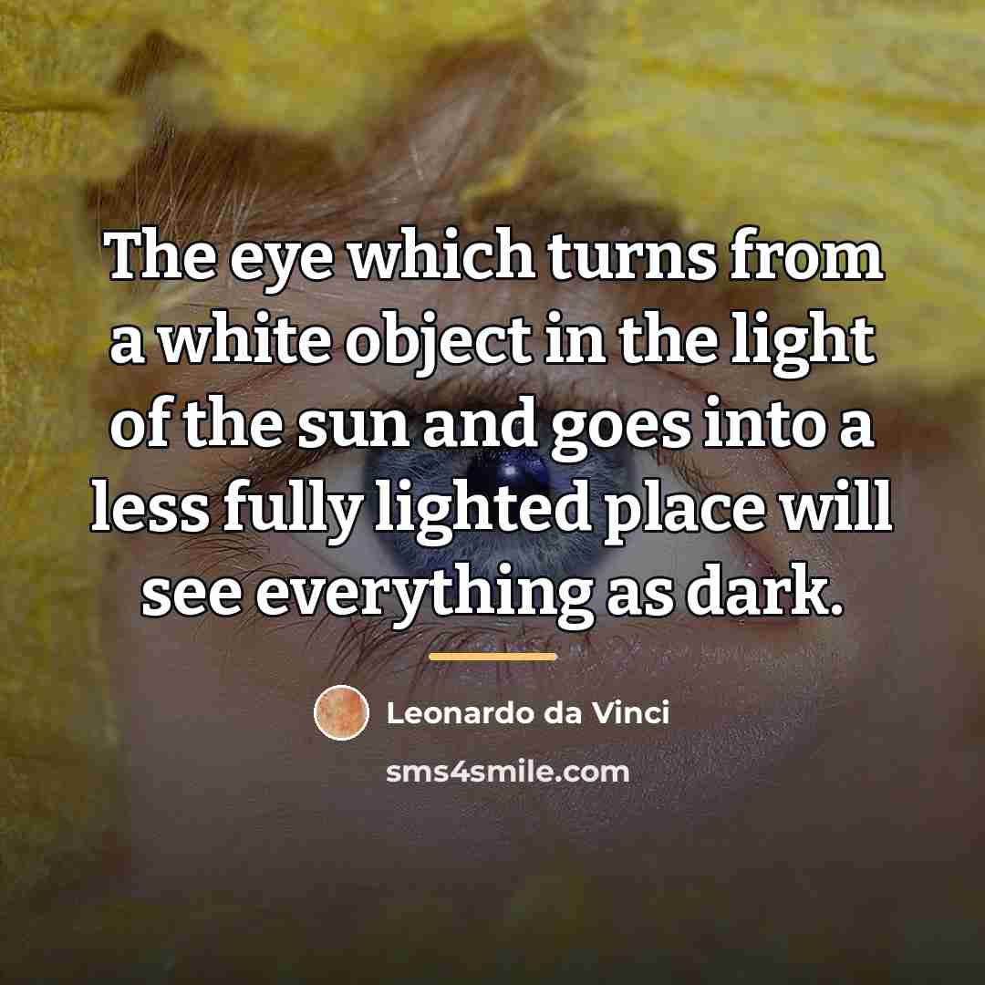 “The eye which turns from a white object in the…” quote by Leonardo da Vinci