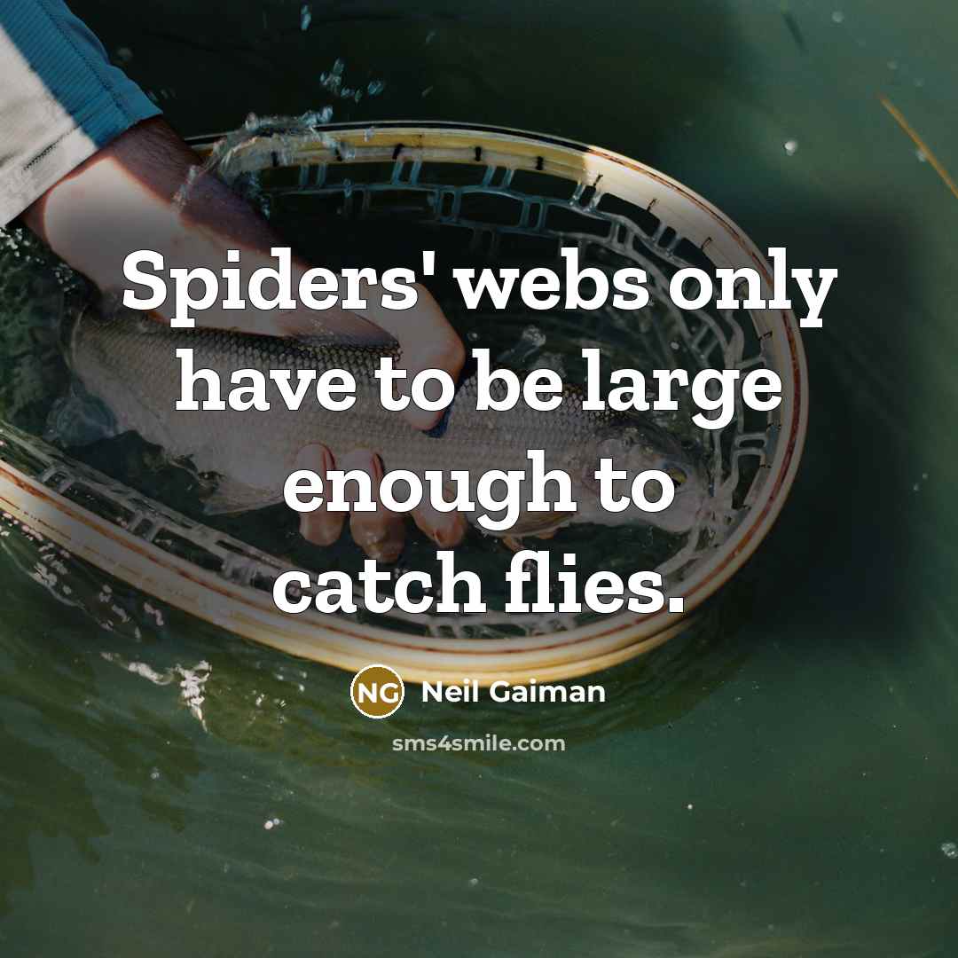 “Spiders' webs only have to be large enough to catch…” quote by Neil Gaiman