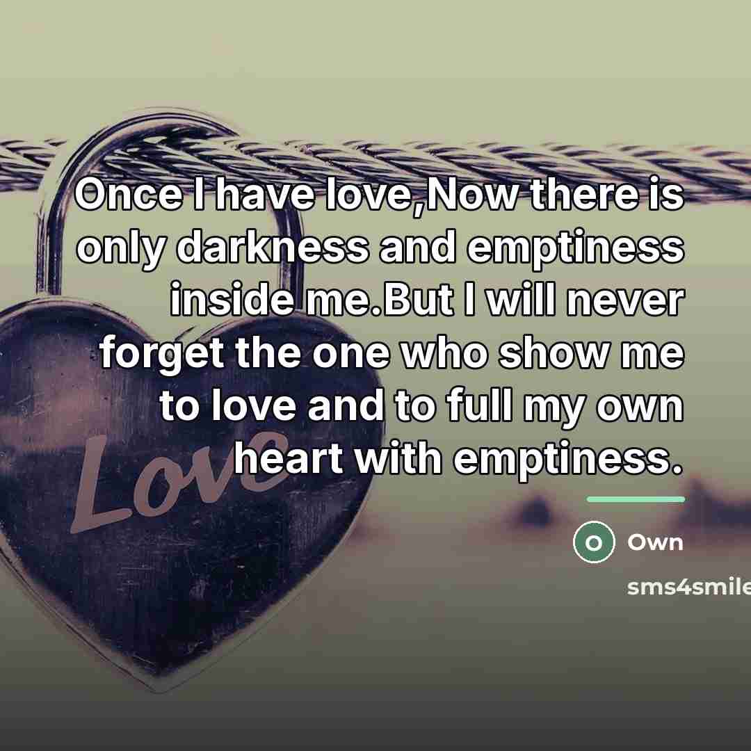 “Once I have love,Now there is only darkness and emptiness…” quote by Own