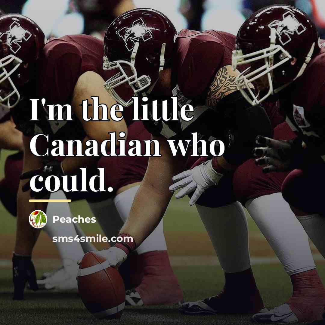 “I'm the little Canadian who could.…” quote by Peaches