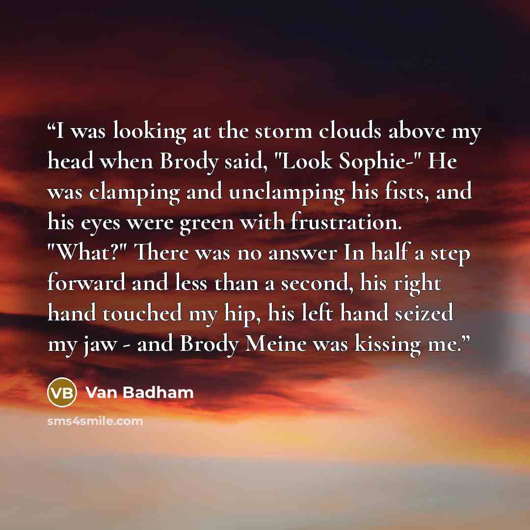 “I was looking at the storm clouds above my head when Brody said, "Look Sophie-" He was clamping and unclamping his fists, and his eyes were green with frustration. "What?" There was no answer In half a step forward and less than a second, his right hand touched my hip, his left hand seized my jaw…” quote by Van Badham