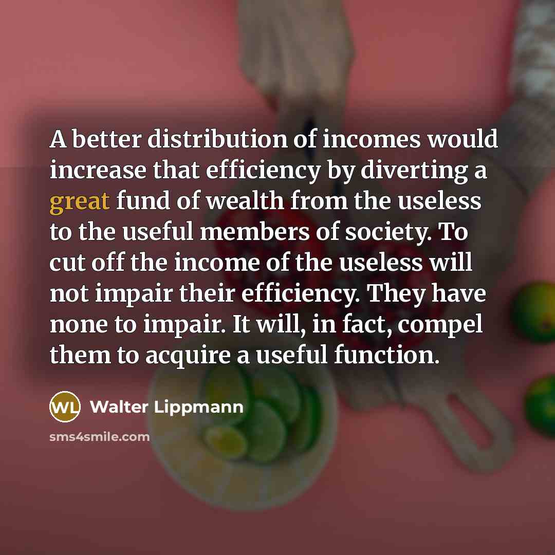 “A better distribution of incomes would increase that efficiency by…” quote by Walter Lippmann