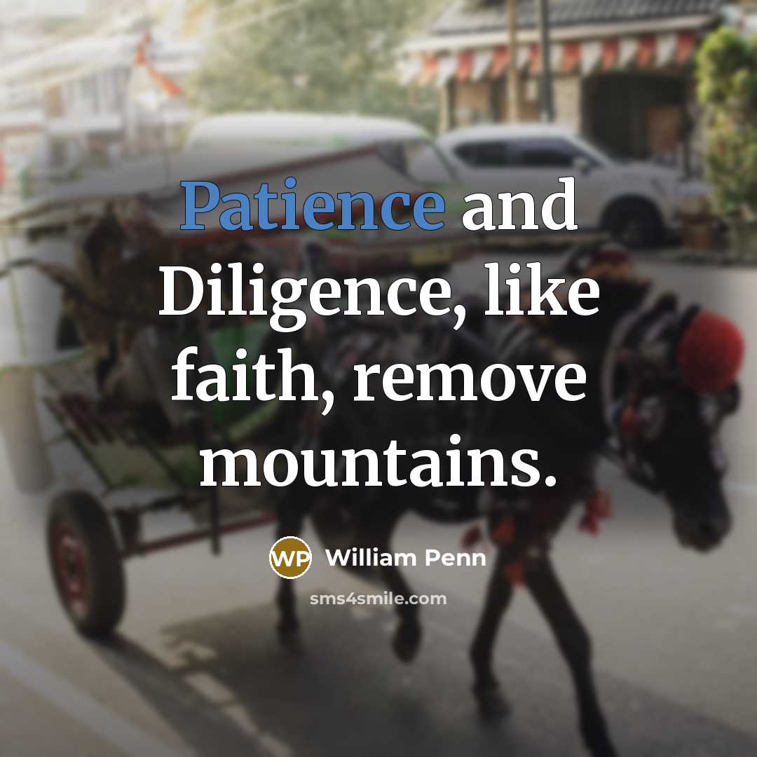 “Patience and Diligence, like faith, remove mountains.…” quote by William Penn