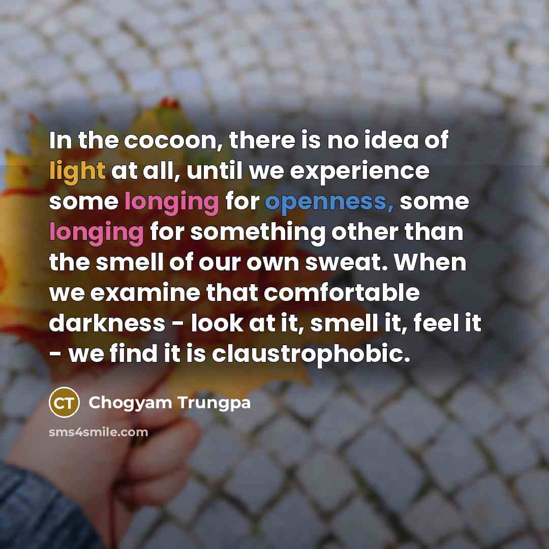 “In the cocoon, there is no idea of light at…” quote by Chogyam Trungpa
