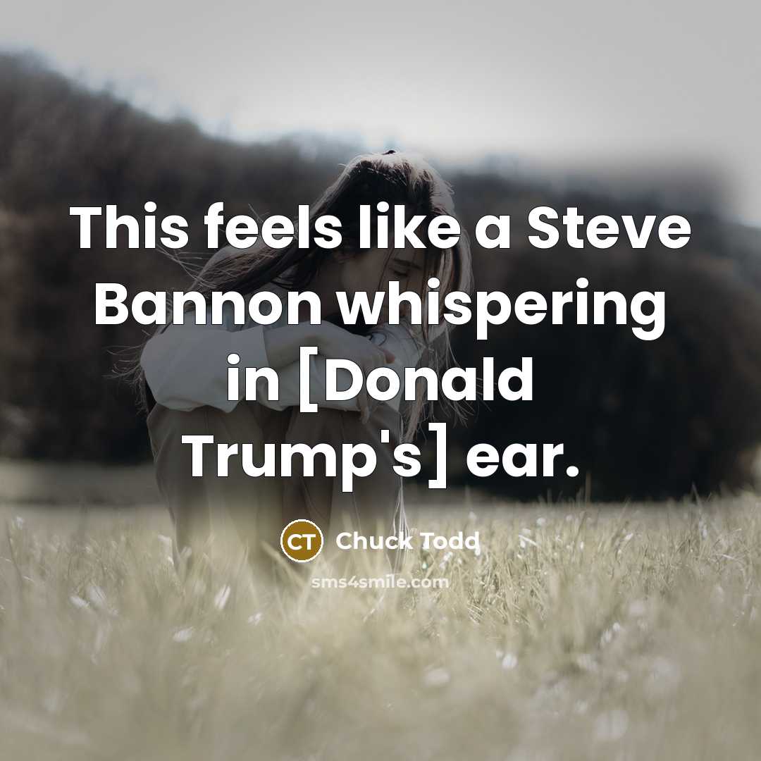 “This feels like a Steve Bannon whispering in [Donald Trump's]…” quote by Chuck Todd