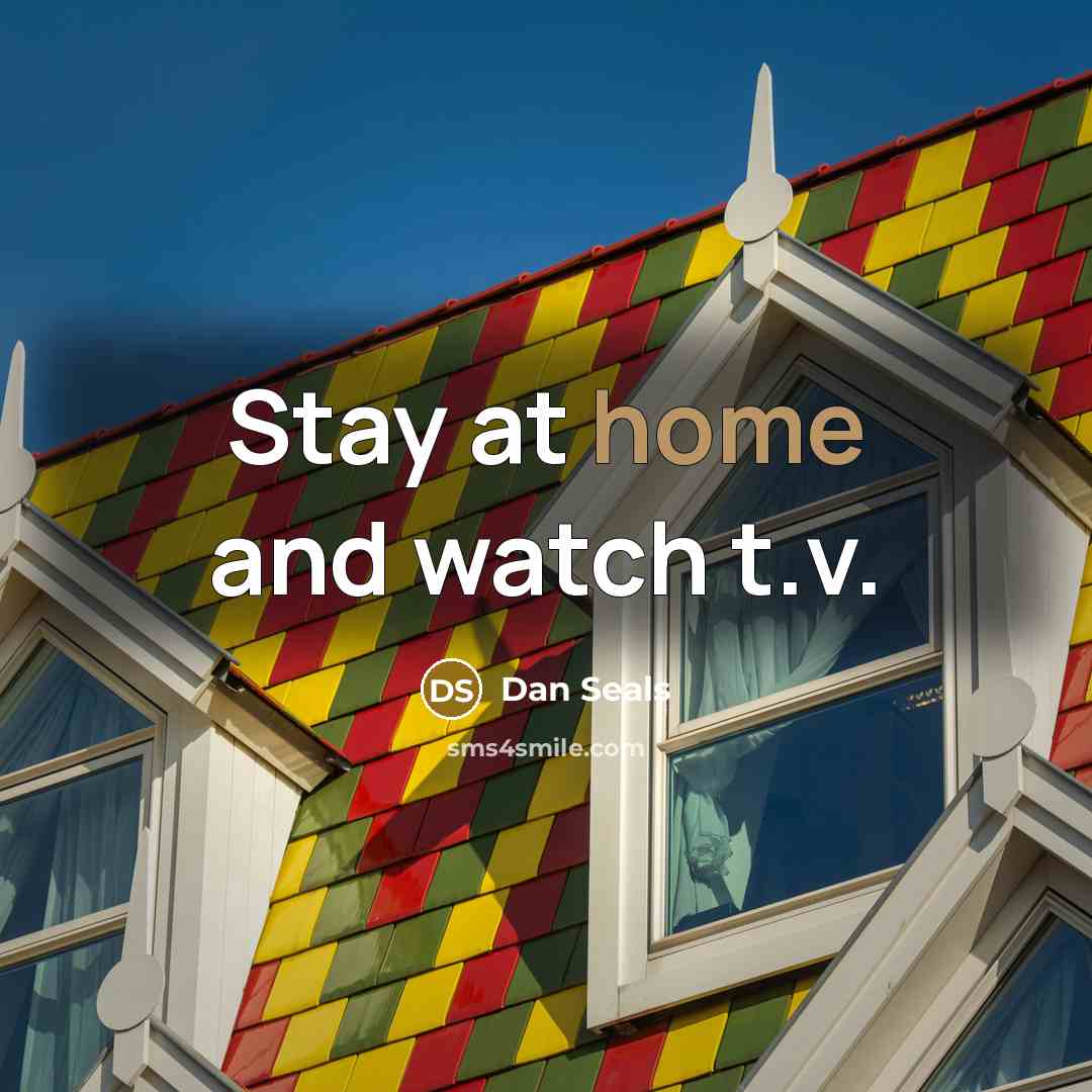 “Stay at home and watch t.v.…” quote by Dan Seals