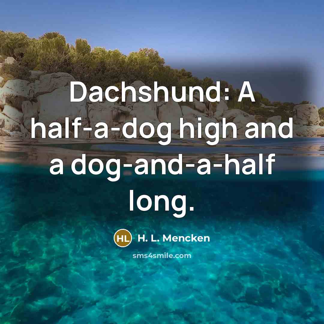 “Dachshund: A half-a-dog high and a dog-and-a-half long.…” quote by H. L. Mencken