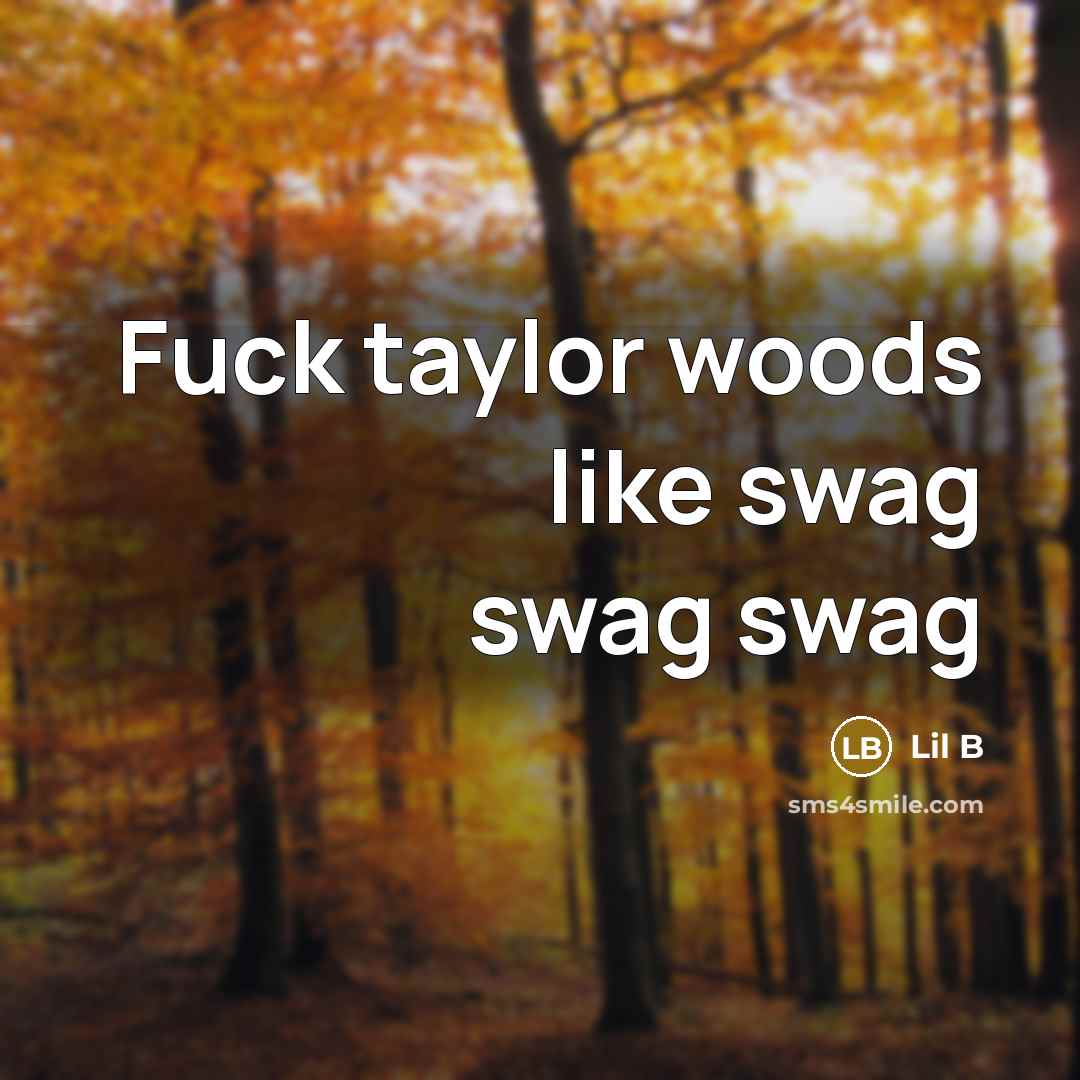 “Fuck taylor woods like swag swag swag” quote by Lil B