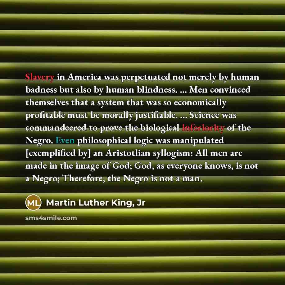 “Slavery in America was perpetuated not merely by human badness…” quote by Martin Luther King, Jr
