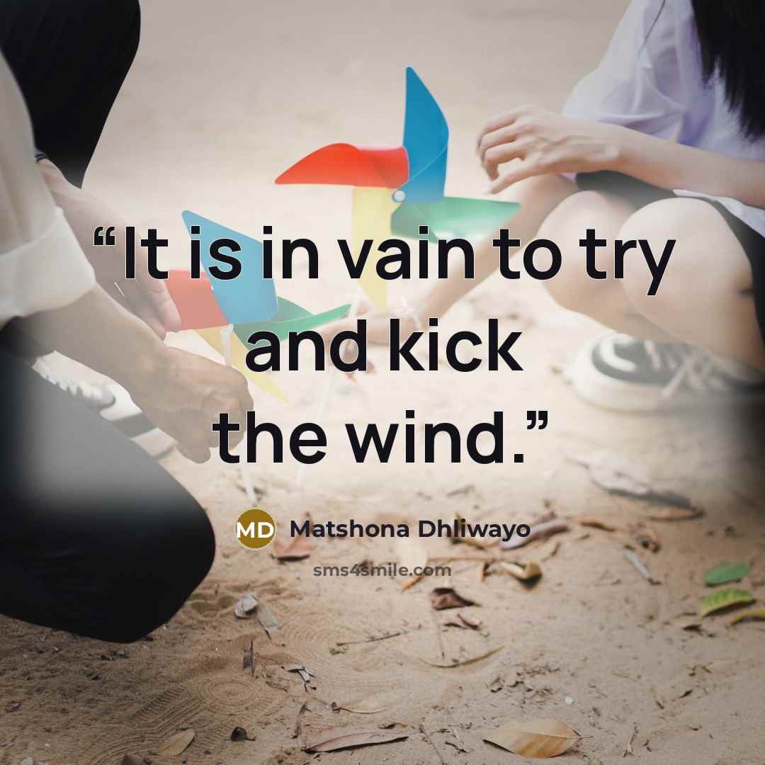 “It is in vain to try and kick the wind.” quote by Matshona Dhliwayo