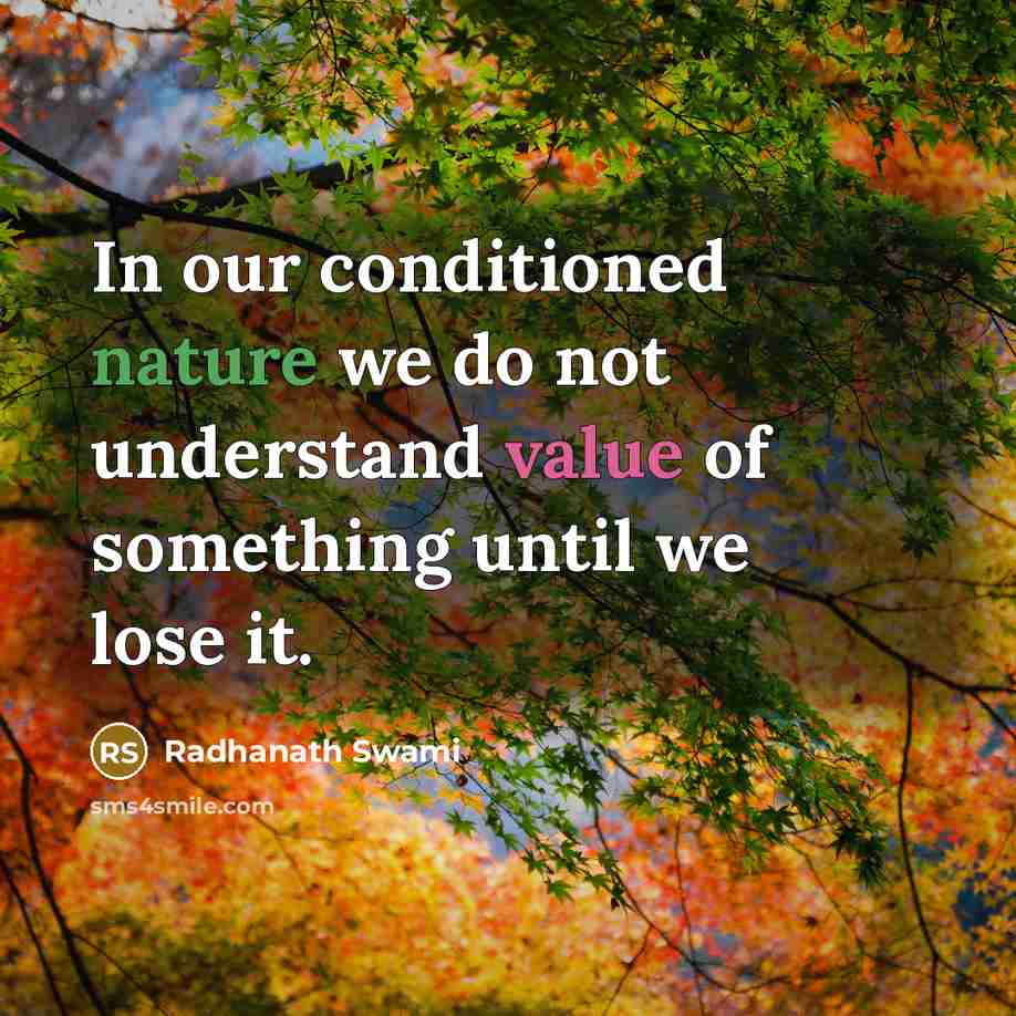 “In our conditioned nature we do not understand value of something until we lose it.” quote by Radhanath Swami