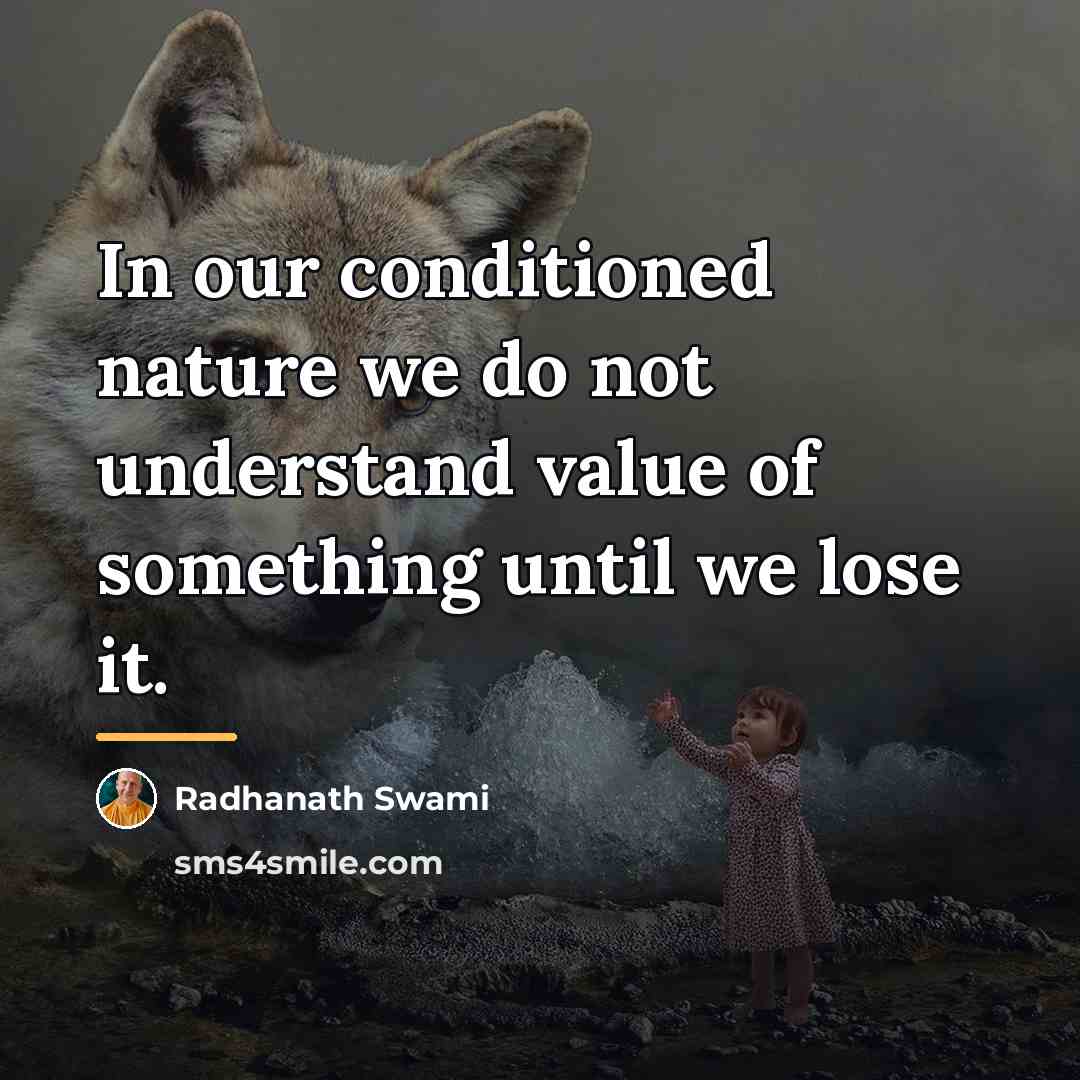 “In our conditioned nature we do not understand value of…” quote by Radhanath Swami
