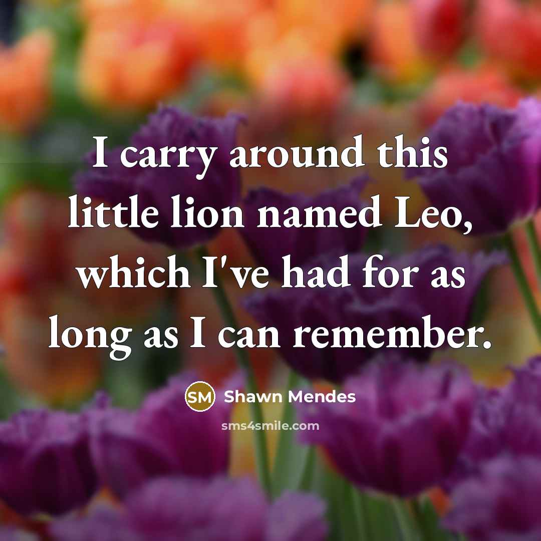 “I carry around this little lion named Leo, which I've…” quote by Shawn Mendes