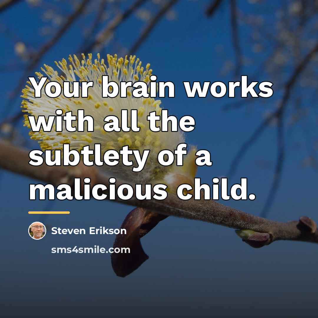 “Your brain works with all the subtlety of a malicious…” quote by Steven Erikson
