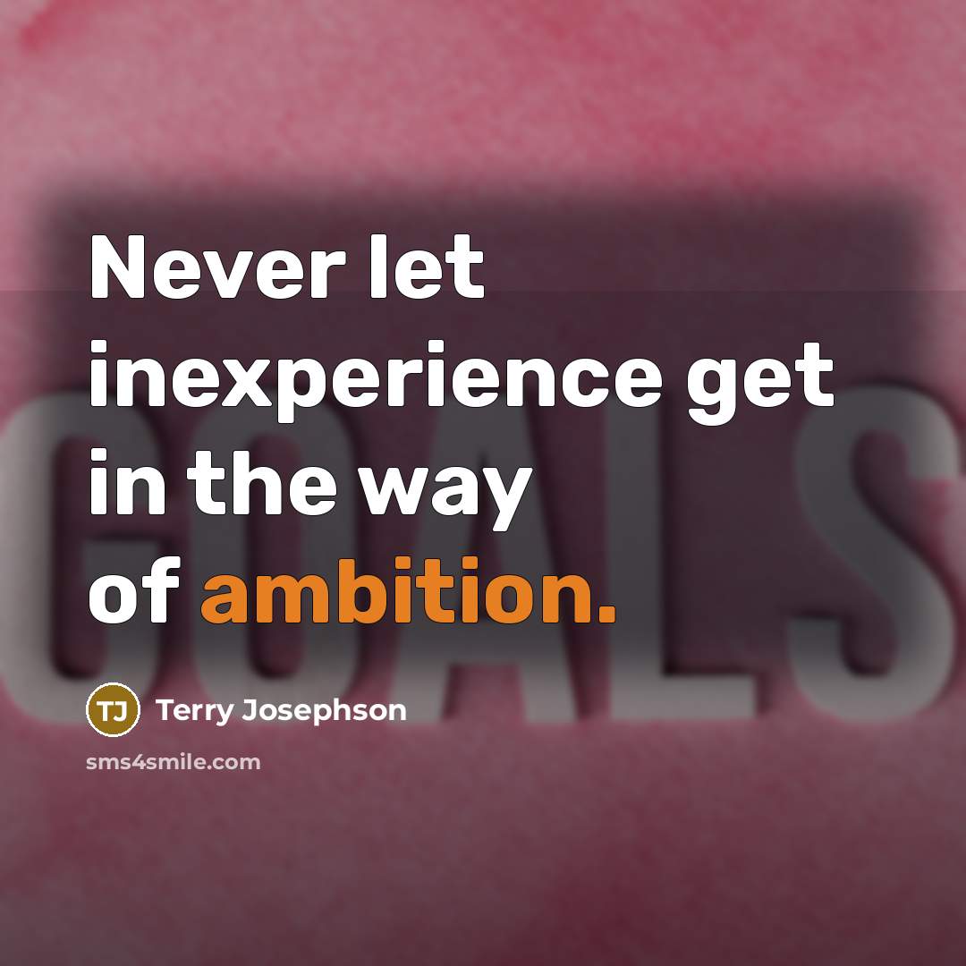 “Never let inexperience get in the way of ambition.…” quote by Terry Josephson