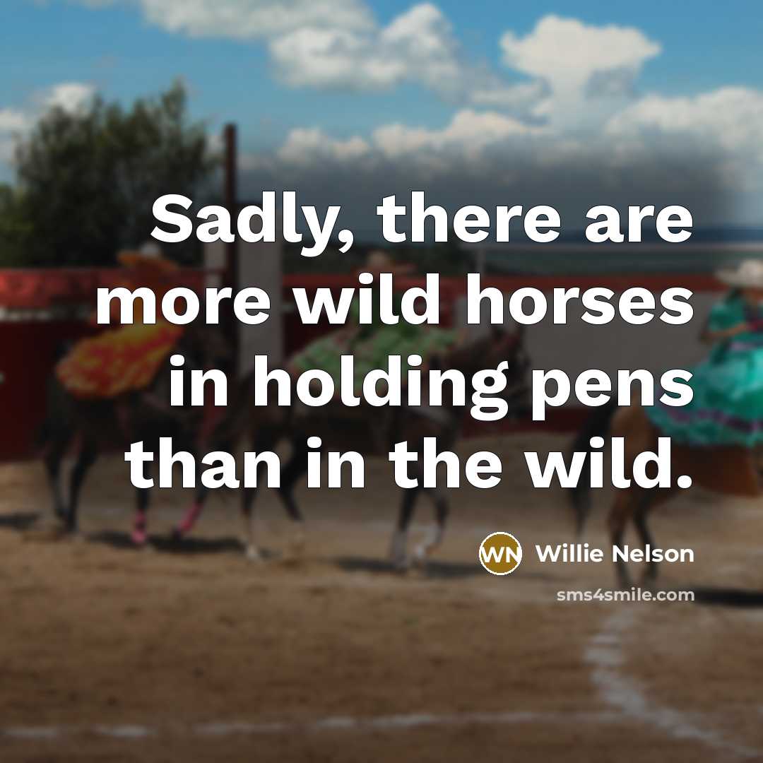 “Sadly, there are more wild horses in holding pens than…” quote by Willie Nelson