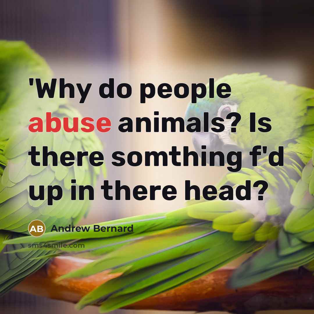 “'Why do people abuse animals? Is there somthing f'd up in there head?” quote by Andrew Bernard