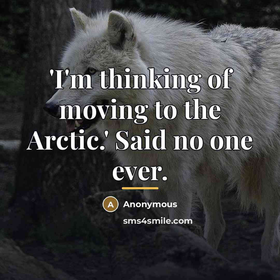 “'I'm thinking of moving to the Arctic.' Said no one…” quote by Anonymous
