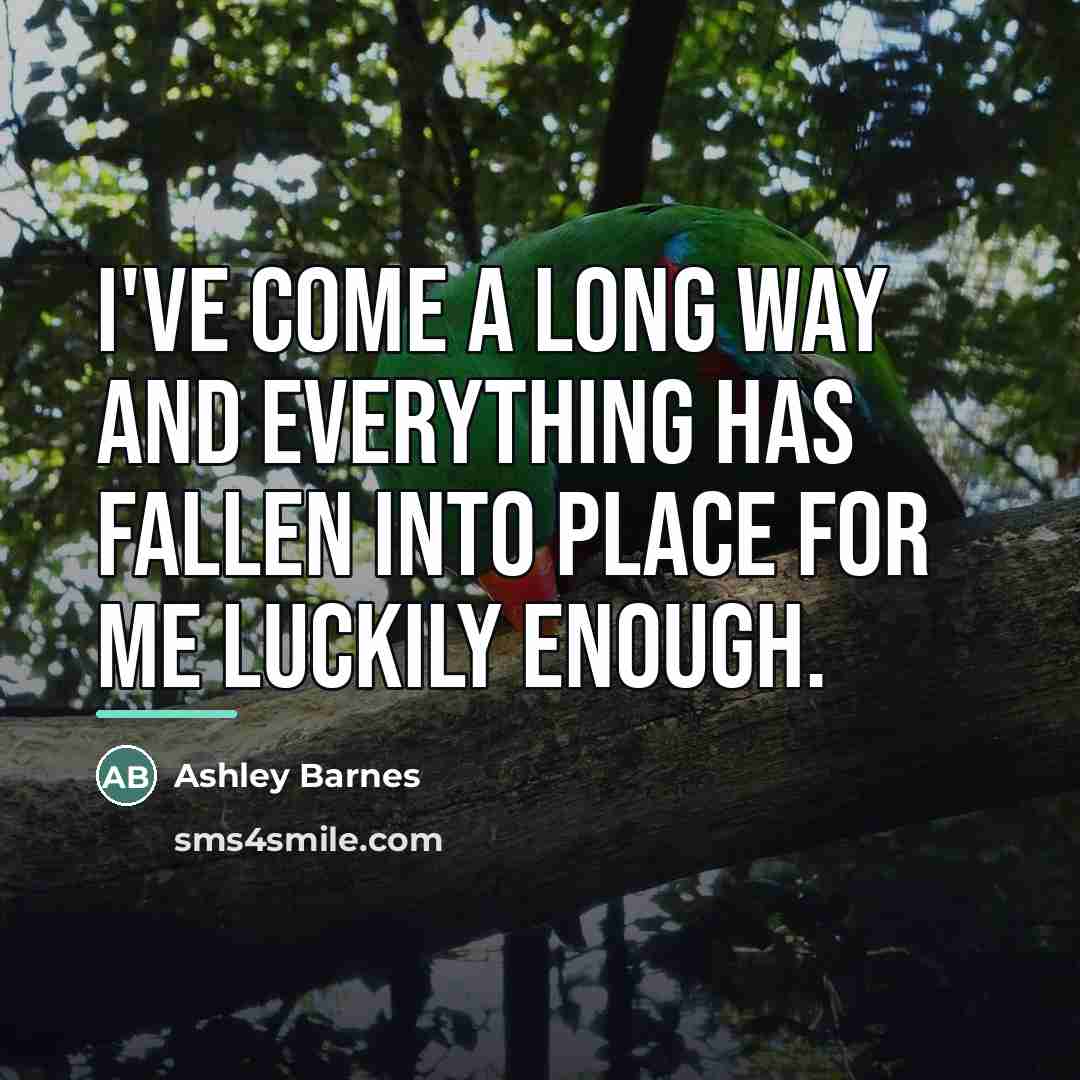 “I've come a long way and everything has fallen into…” quote by Ashley Barnes
